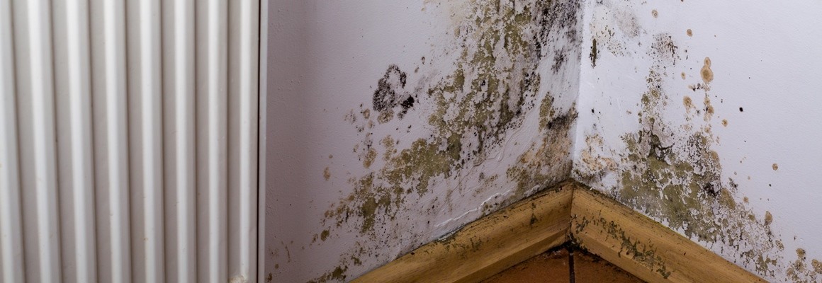 Soaring Heating Bills Lead To Mould In Rental Properties